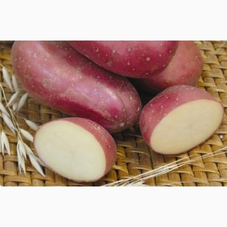 Ажур картофель