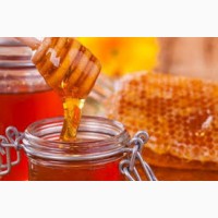 Куплю мед с антибиотиком по хорошей цене
