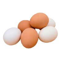 Яйцо инкубационное куриное Адлер серебристый