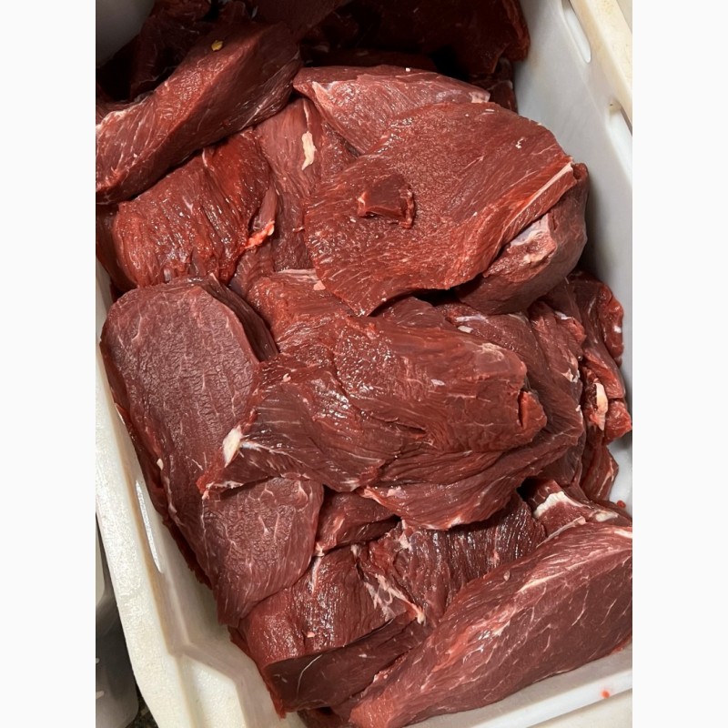 Фото 4. ТОВ Агропродукт реалізовує мясо яловичини сортове 1, 2, вищий гатунок власного виробництва