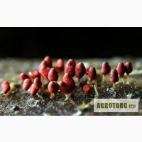 Боверин -инсектицид против вредителей теплиц купить