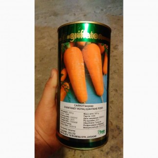Купить семена моркови Griffaton Шантане Роял