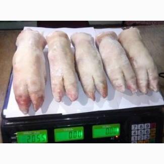 ООО «Амтек Трейд» предлагает замороженные свиные субпродукты