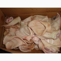 ООО «Амтек Трейд» предлагает замороженные свиные субпродукты
