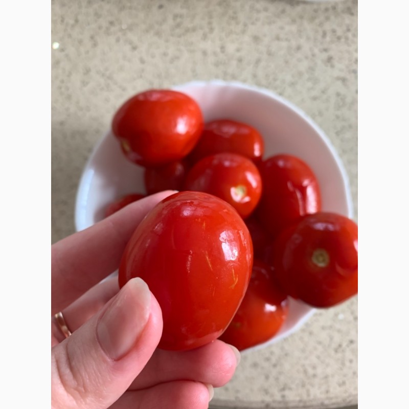 Фото 2. Продам квашені помідори