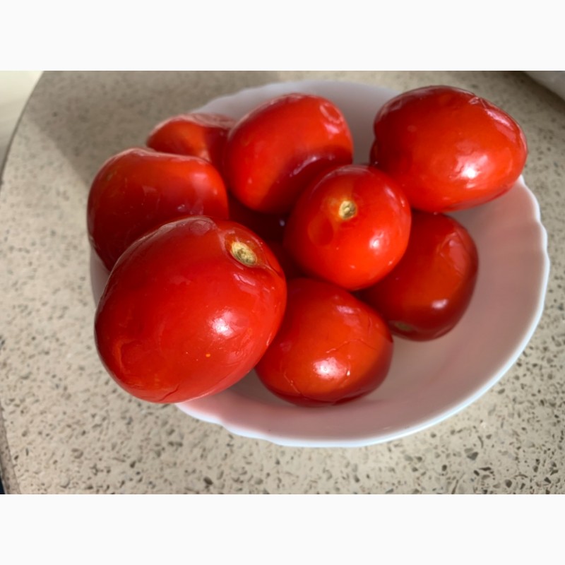 Фото 4. Продам квашені помідори