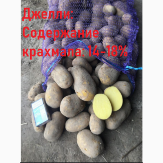 Продам картофель из Белоруссии Оптом