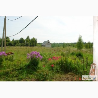 Земля для фермера 20ГА в 250 км от Москвы сдам или продам