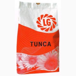 Продам семена подсолнечника Тунка (Лимагрейн)