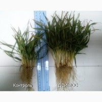 ДЕЙМОС - регулятор росту рослин з мікроелементами від ВИРОБНИКА