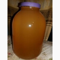 Продам мед соняшниковий