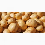 Продам картофель оптом импортный, экстра качество