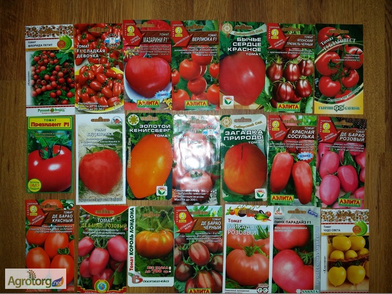 Фото 4. Продам семена Томатов (помидор), дешево. Оптом и в розницу
