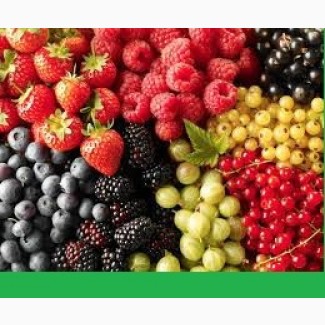 Продам сушеные ягоды и фрукты, крупным оптом