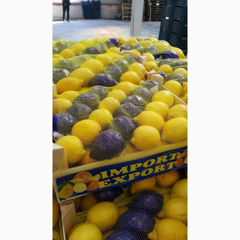 Фото 2. Продам лимоны, сорт энтердонат