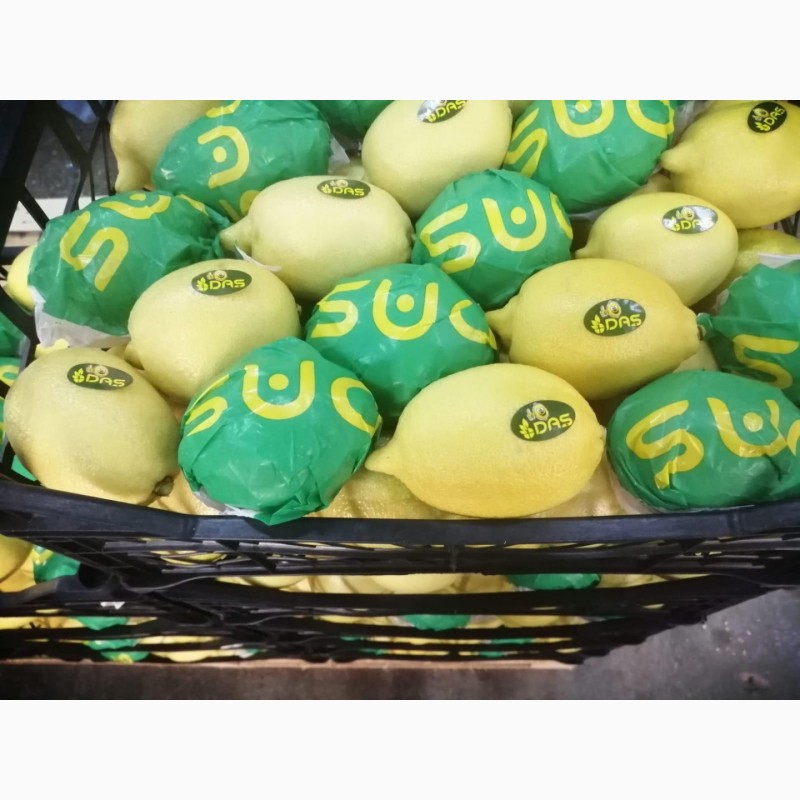 Фото 5. Продам лимоны, сорт энтердонат