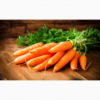 Организация купит морковь