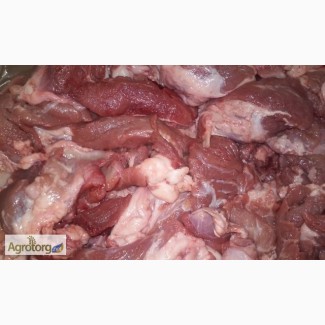 Тримминг свинной 70/30 (полужирка, гуляш, котлетное мясо, поджарка)