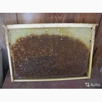 Продам Пчелиная сушь
