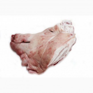 Закуповуємо оптом свинні та яловичі субпродукти