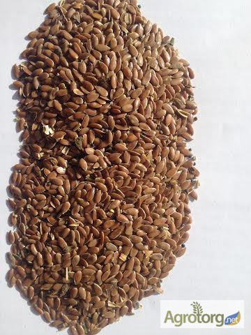 Фото 4. Грецкий орех, семена тыквы семена подсолнечника, семена льна