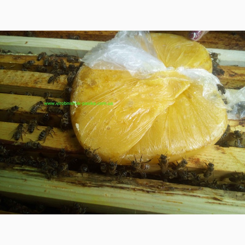 Фото 2. Канди для пчел.Паста канді для пчел. Від виробника