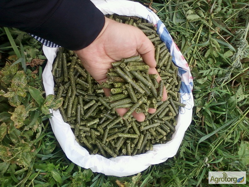 Линия для изготовления травяных гранул (гранулированной травяной муки) ОГМ 1.5