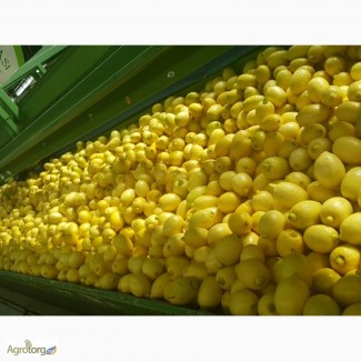 Продам Лимон ( Испания )