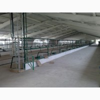 Будівництво Корівників, реконструкція тваринницьких ферм