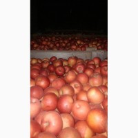 Продажи яблук