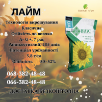 Насіння соняшника ЛАЙМ (екстра)(стандарт)(2023 рік), ТМ ВНІС, Україна