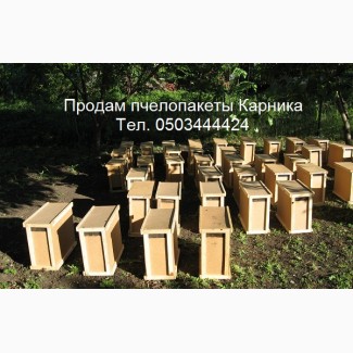 Пчелопакеты КАРНИКА. 4 рамки 3+1