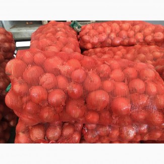 Купим лук репчатый, картофель в Белоруссии урожай 2019 года