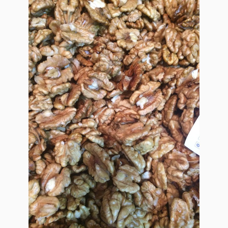 Фото 2. Продам чищеный грецкий орех все фракции | Sell the peeled walnut all fractions