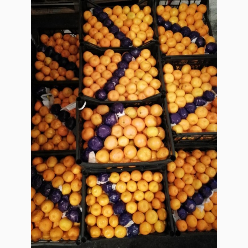 Фото 3. Срочно продам гранат и мандарины. От поставщика. С 10 тонн