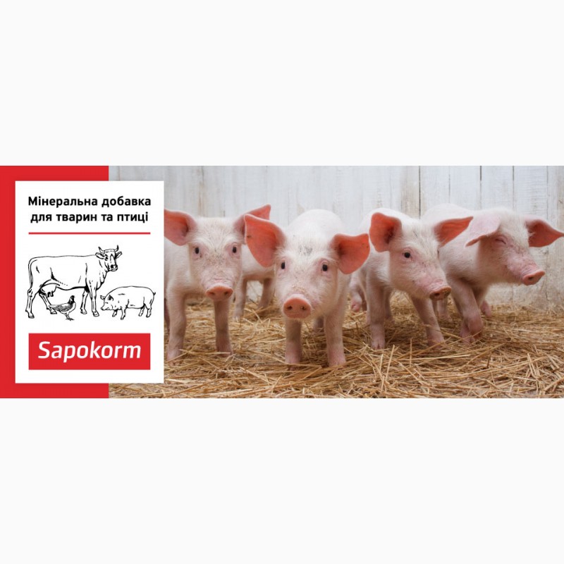 Фото 2. Сапокорм - мінеральна добавка для відгодівлі свиней, тона, 1мм