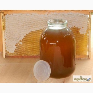 Закарпатський натуральний мед (без домішок і цукру) з різнотравя ( майський)