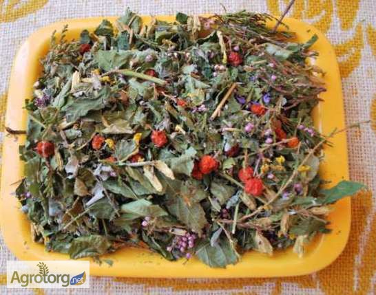 Фото 3. Фіто чай з лісових трав та плодів з Карпатського регіону
