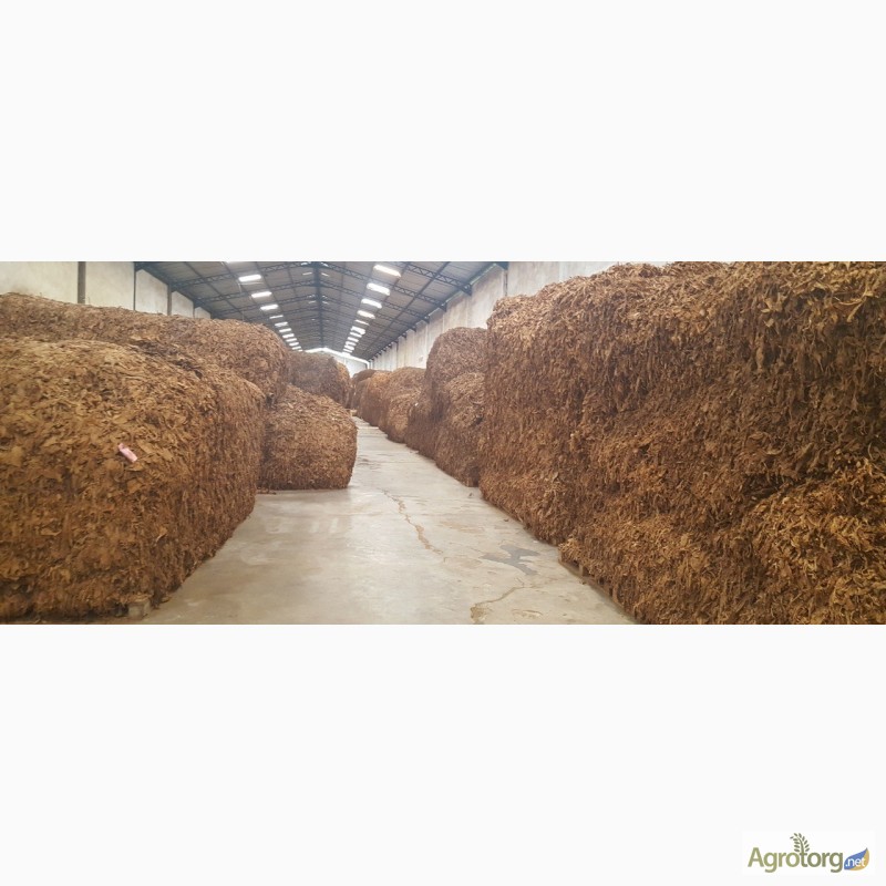 Фото 11. Табак Листовой Оптом от 20 тонн из Индонезии – Jatim VO – ферментированный, Индонезия