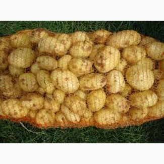Продам молодой картофель урожая 2018 г