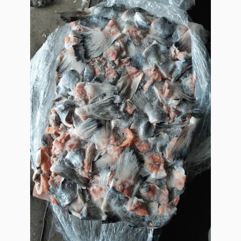 Фото 2. Продам рыбные отходы красной рыбы - ассорти