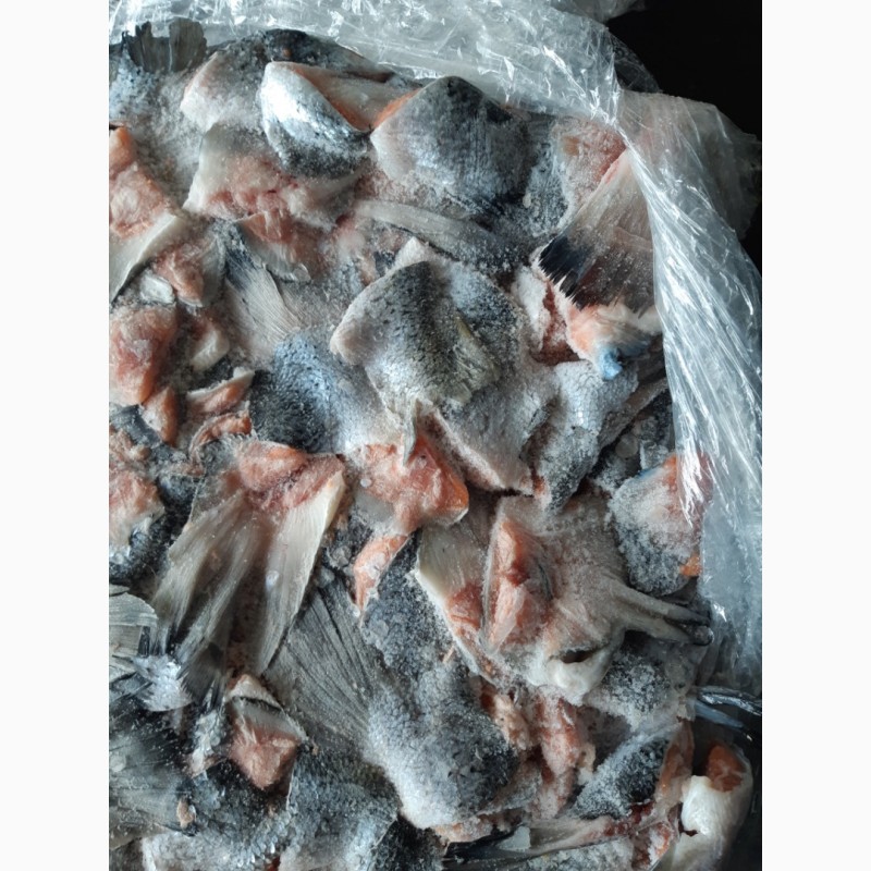 Фото 3. Продам рыбные отходы красной рыбы - ассорти