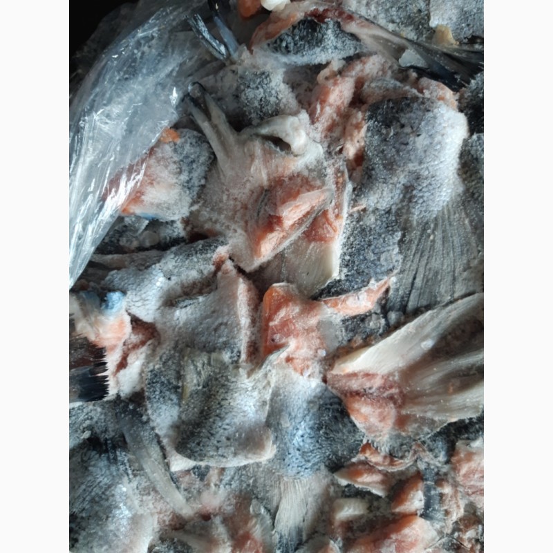 Фото 6. Продам рыбные отходы красной рыбы - ассорти