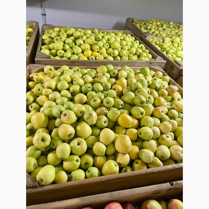 Фото 2. Продам яблука з холодильника газовані(смарт фреш)