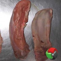 Продам язык свиной от 1-й тонны