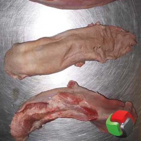 Фото 3. Продам язык свиной от 1-й тонны