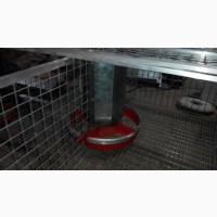 Бункерная кормушка для кроликов на 5 литров корма