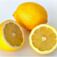 Fresh lemon offer from Egypt