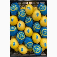 Прямые продажи Лимонов из Турции, экспорт