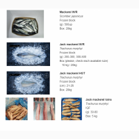 Продаємо оптом Скумбрія Хек Кальма морозива